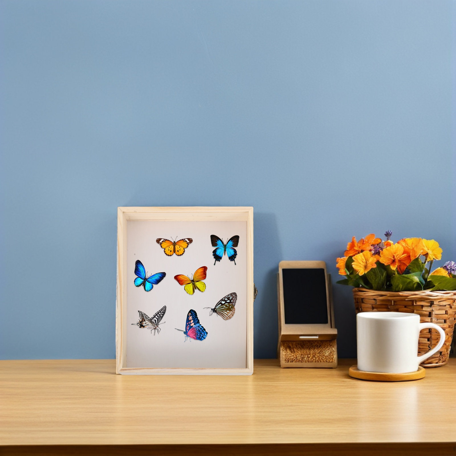 Solid Wood Insect Specimen Dis - Science Project ulasan dan harga