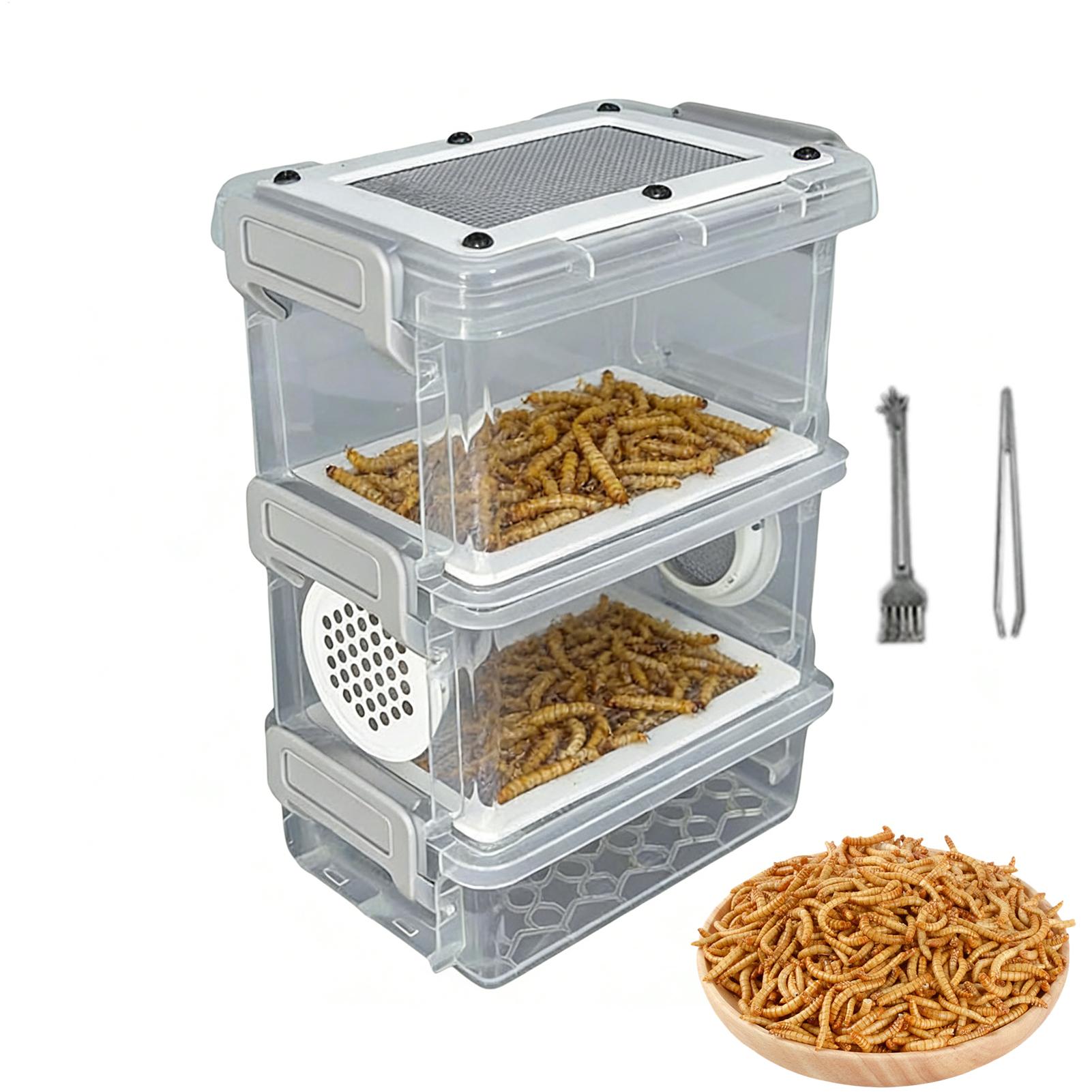 Mealworm Breeding Kit 3-Layer  - Science Hobbyist ulasan dan harga