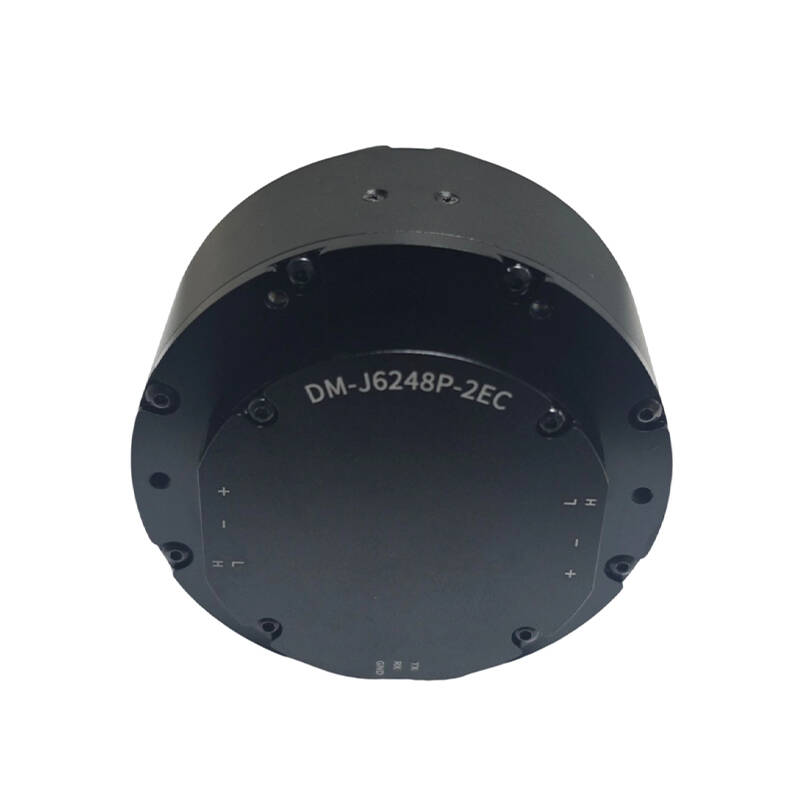 DAMIAO DM-J6248P-2EC Industria - Robot Arm Motor ulasan dan harga