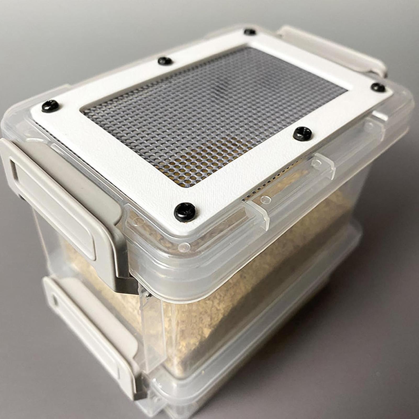 3-Layer Silkworm Feeder Bin Co - Science Hobbyist ulasan dan harga